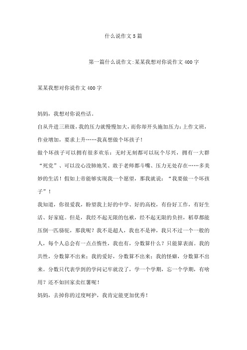 什么说作文5篇