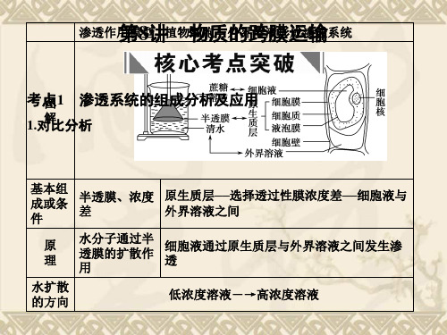 高考生物一轮复习 第3章 第8讲 物质的跨膜运输课件 苏教版必修1