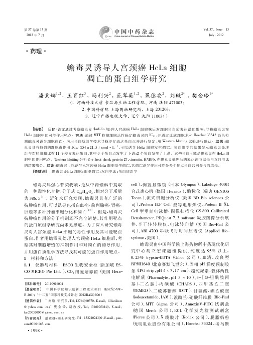 蟾毒灵诱导人宫颈癌HeLa细胞凋亡的蛋白组学研究