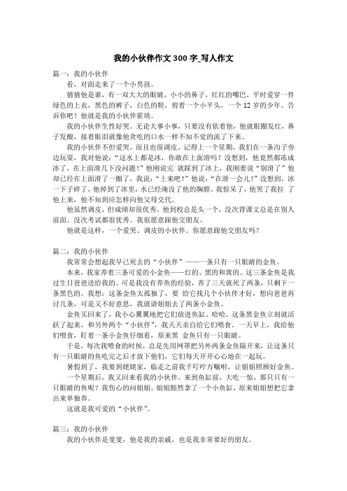 我的小伙伴作文300字_写人作文