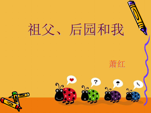 五年级上册语文课件-3.3 祖父·后园·我 冀教版 (共14张PPT)