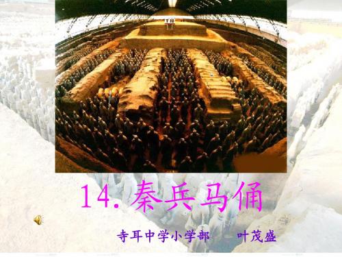 秦兵马俑