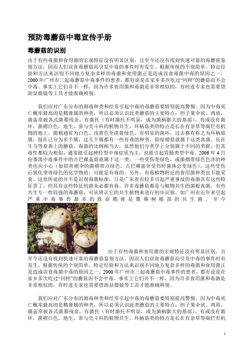预防毒蘑菇中毒宣传手册