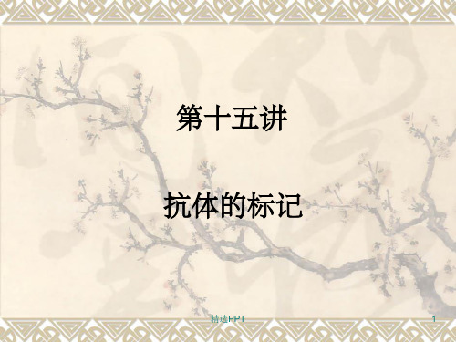 《抗体标记》PPT课件
