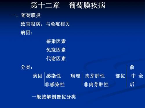 12葡萄膜病