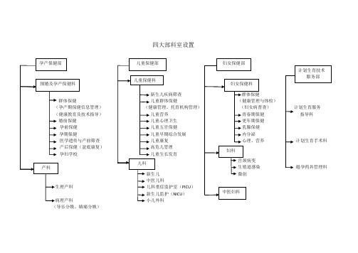 妇幼保健院四大业务部门科室组织架构设置图