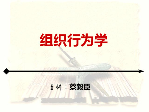 有价值的企业管理培训课件组织行为学(北大EMBA)