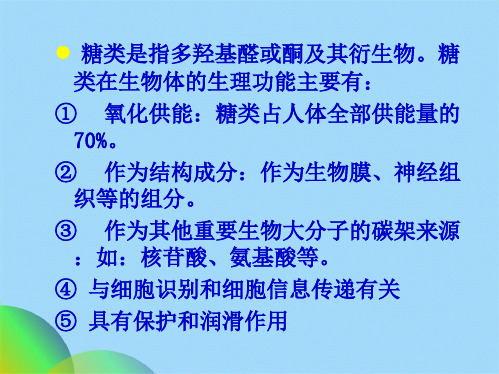 生物化学糖代谢(共110张PPT)