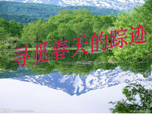 寻觅春天的踪迹课件