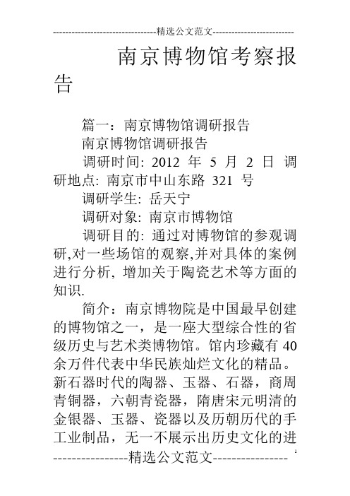 南京博物馆考察报告