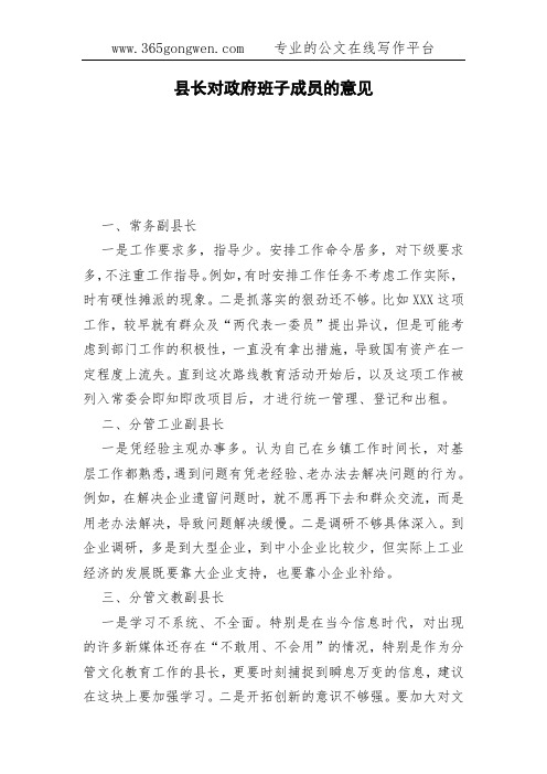 县长对政府班子成员的意见