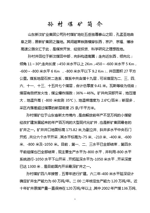 山东某矿业集团孙村煤矿设计孙村煤矿概况