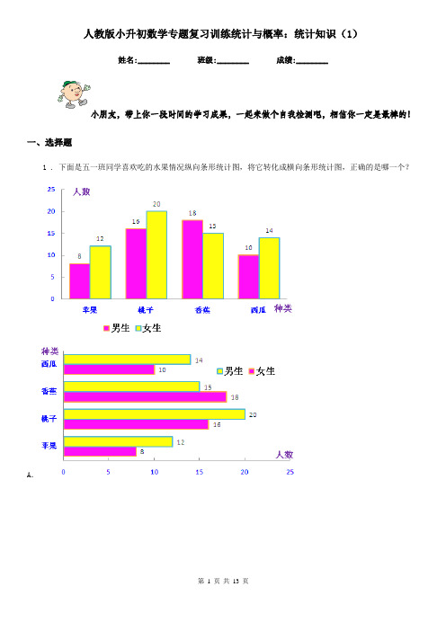 人教版小升初数学专题复习训练统计与概率：统计知识(1)
