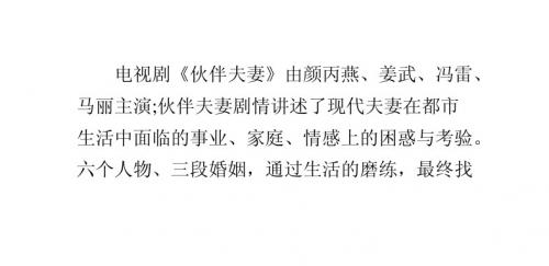 伙伴夫妻剧情介绍