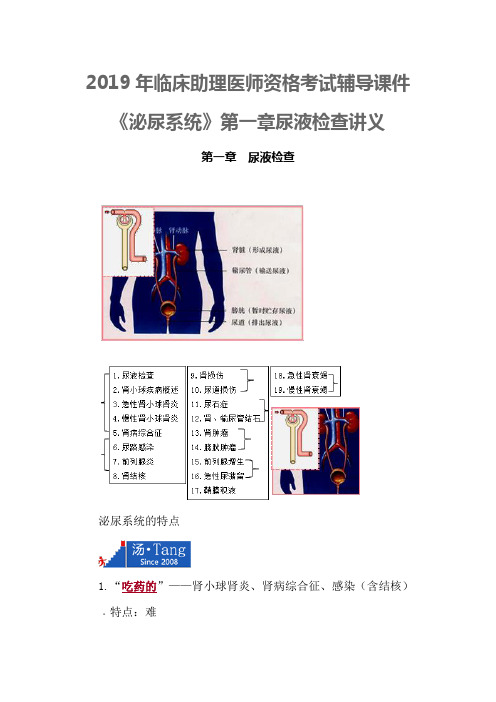 2019年临床助理医师资格考试辅导课件泌尿系统第一章尿液检查讲义