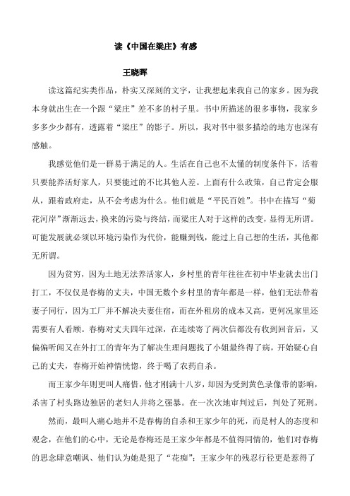 中国在梁庄读后感