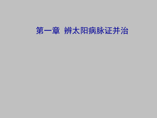 辨太阳病脉证并治