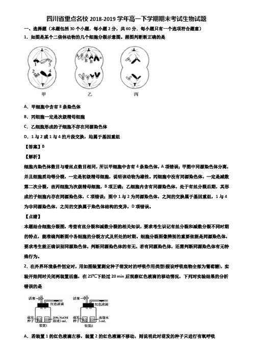 四川省重点名校2018-2019学年高一下学期期末考试生物试题含解析