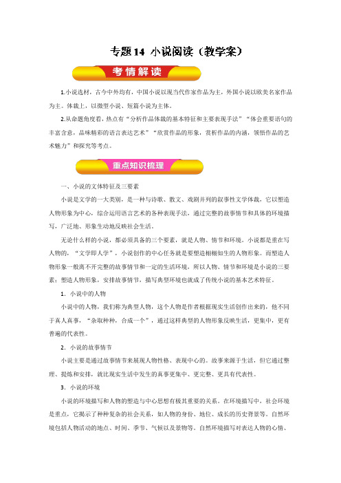 专题14+小说阅读(教学案)-年高考语文一轮复习精品资料+Word版含解析.doc