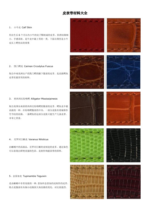 皮表带材料大全