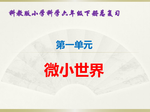 六年级科学下册《总复习》优质教学课件.ppt