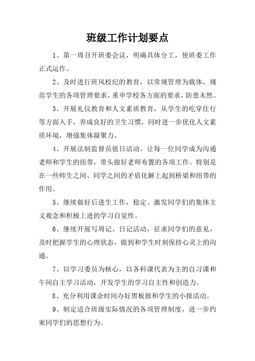 班级工作计划要点