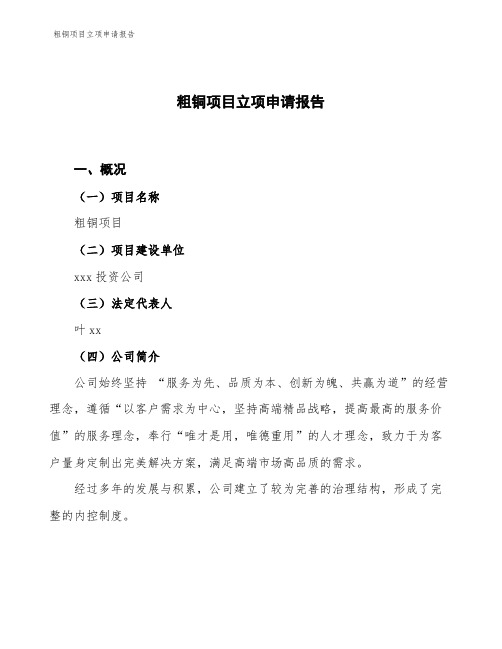 粗铜项目立项申请报告
