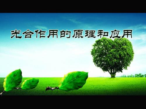 人教版高中生物必修1：光合作用的原理和应用_课件1
