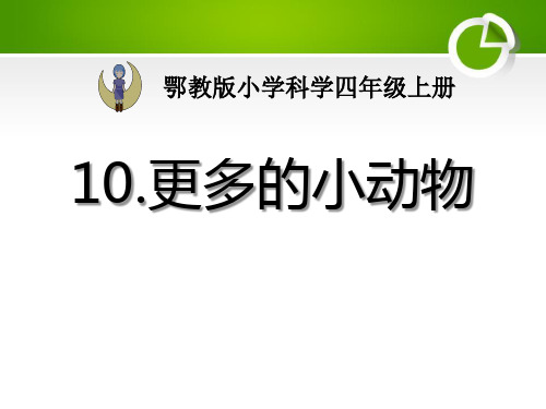 《更多的小动物》寻访校园里的动植物PPT课件2【精品推荐课件】