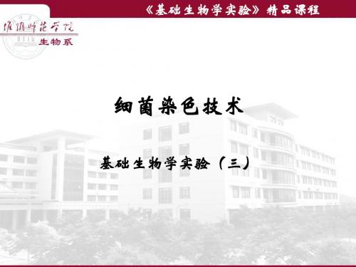 微生物学实验-细菌染色