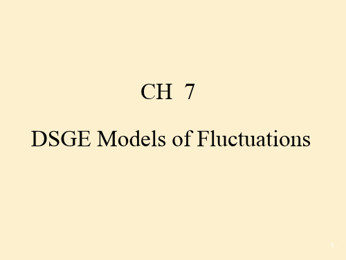 《高级宏观学教学资料》ch 7n