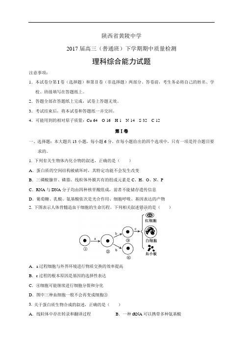 陕西省黄陵中学高三(普通班)下学期期中质量检测——理综(理综)