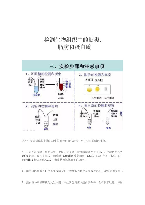 2020年高考生物必考16 个实验原理大解析