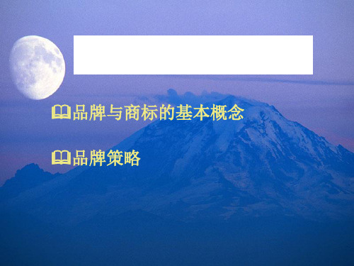 品牌的基本概念与品牌策略.pptx