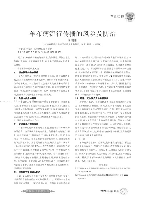 羊布病流行传播的风险及防治