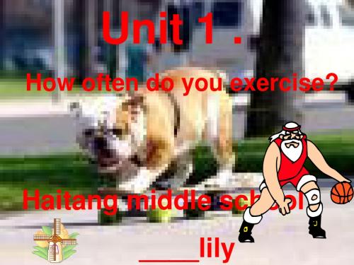 八年级英语上 Unit1 How often do you exercise 课件人教版新目标