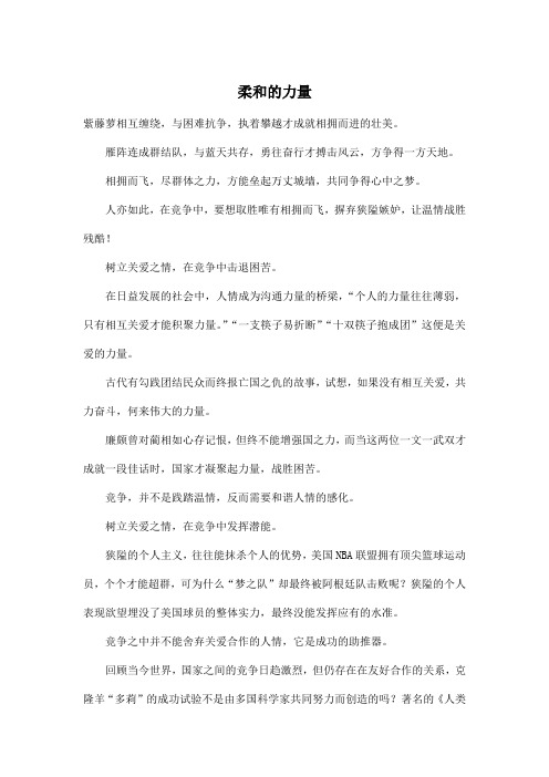 柔和的力量_高中高二作文800字
