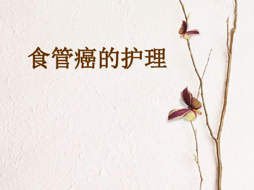 食管癌护理_病历讨论