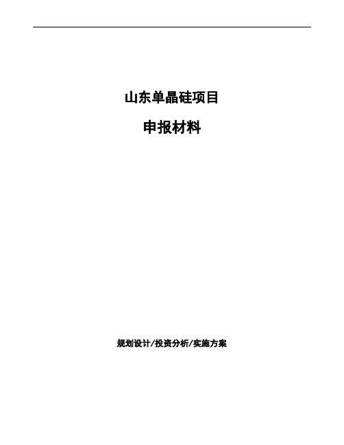 山东单晶硅项目申报材料