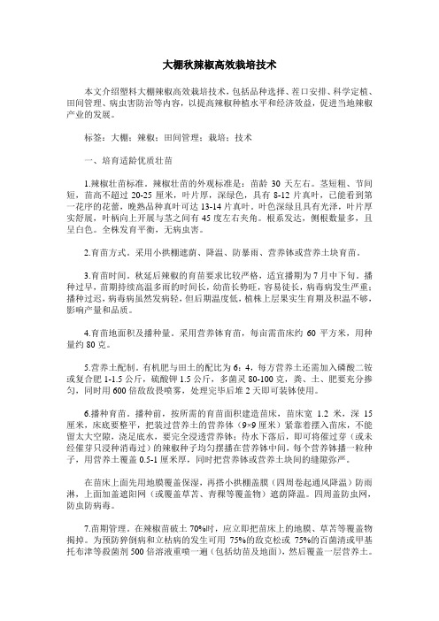 大棚秋辣椒高效栽培技术