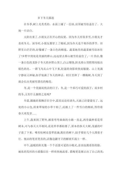 乡下冬天描述