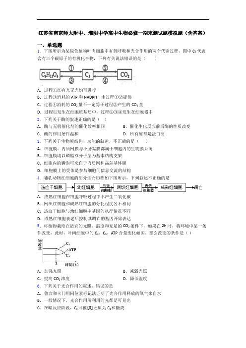 江苏省南京师大附中、淮阴中学高中生物必修一期末测试题模拟题(含答案)