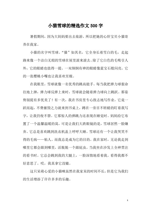 小猫雪球的精选作文500字