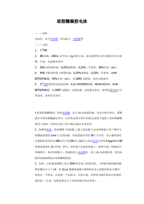 凝胶电泳操作步骤