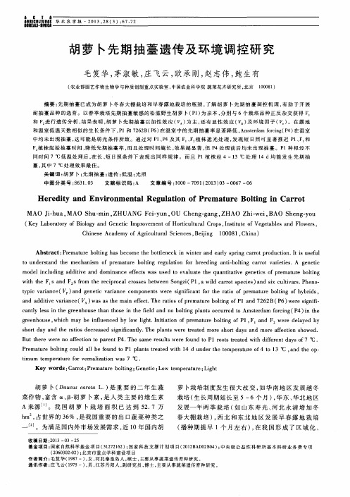 胡萝卜先期抽薹遗传及环境调控研究