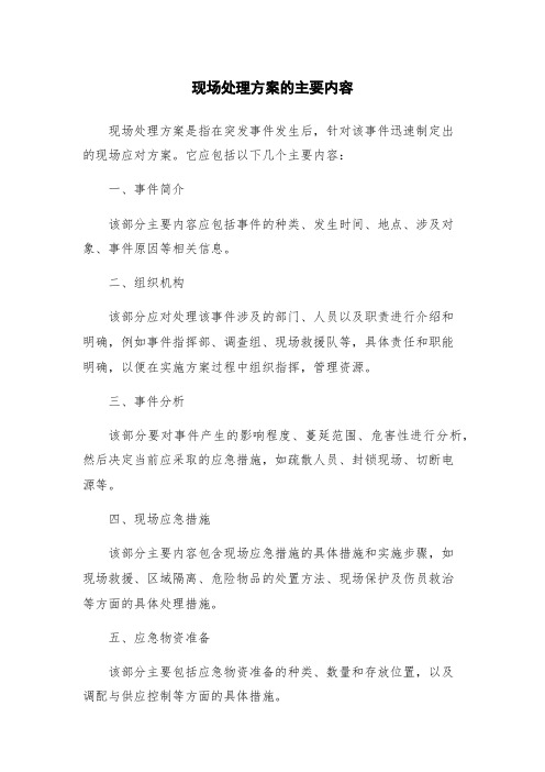 现场处理方案的主要内容