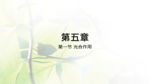 北师大版生物七年级上册第三单元光合作用第一课时
