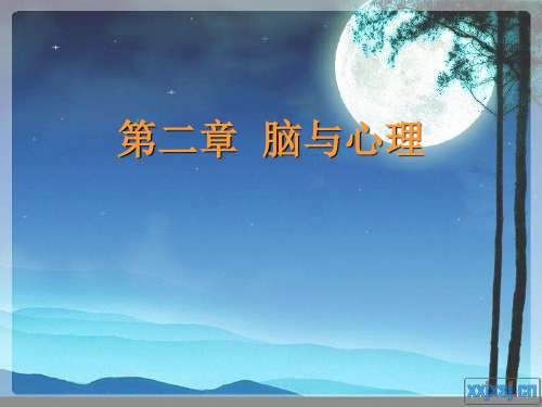 第二章 脑与心理