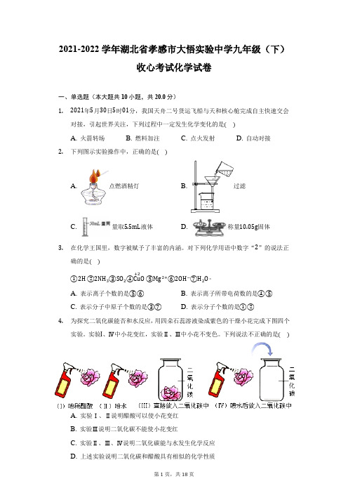 2021-2022学年湖北省孝感市大悟实验中学九年级(下)收心考试化学试卷(附答案详解)