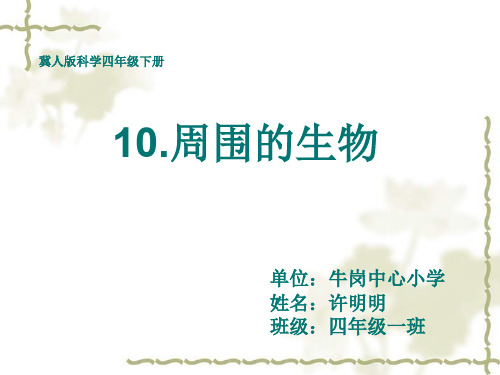 四年级下册科学课件-4.10 周围的生物｜冀教版  (共22张PPT)